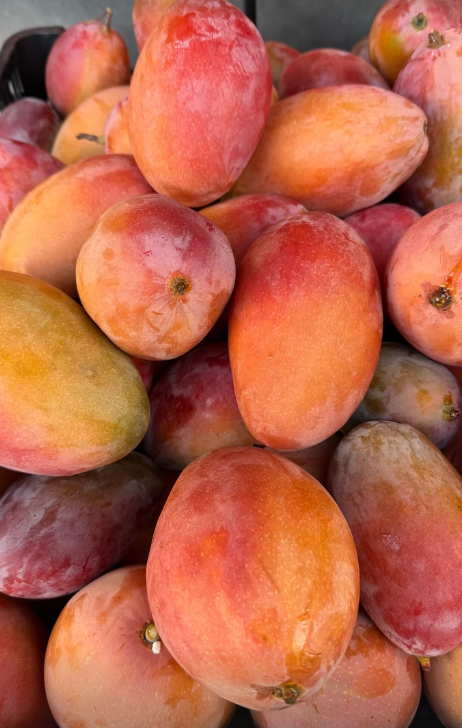 Receita do dia: salada de frutas com mel